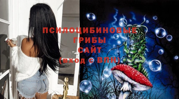 ГАЛЛЮЦИНОГЕННЫЕ ГРИБЫ Фурманов