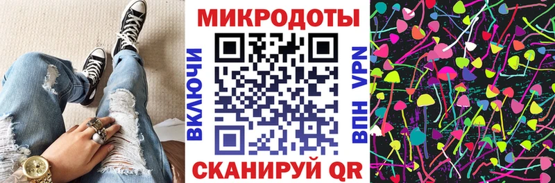 Псилоцибиновые грибы прущие грибы  где купить наркоту  Купино 